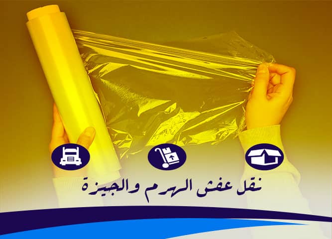 الهرم