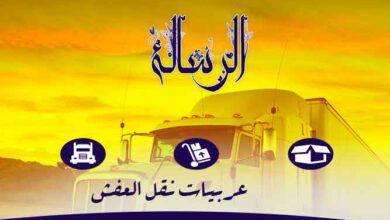صورة شركة نقل اثاث فى بورسعيد
